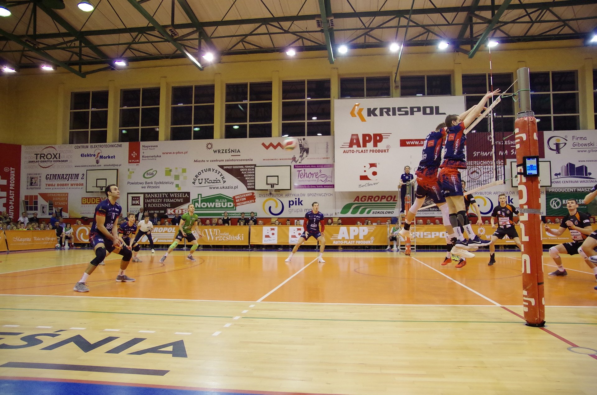 Puchar Polski: APP Krispol Września - ZAKSA Kędzierzyn-Koźle