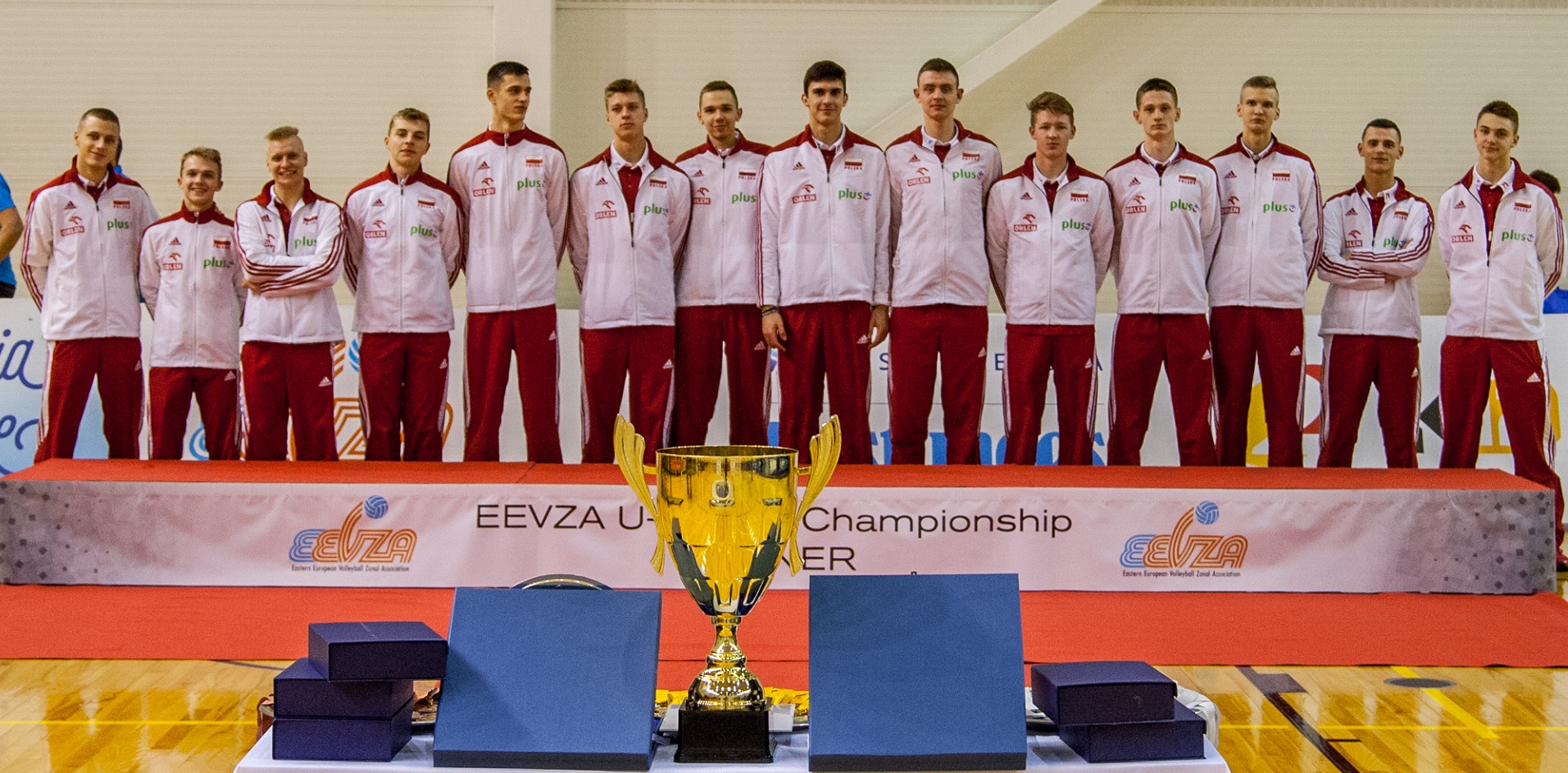 Mistrzostwa EEVZA: polscy kadeci ze złotym medalem