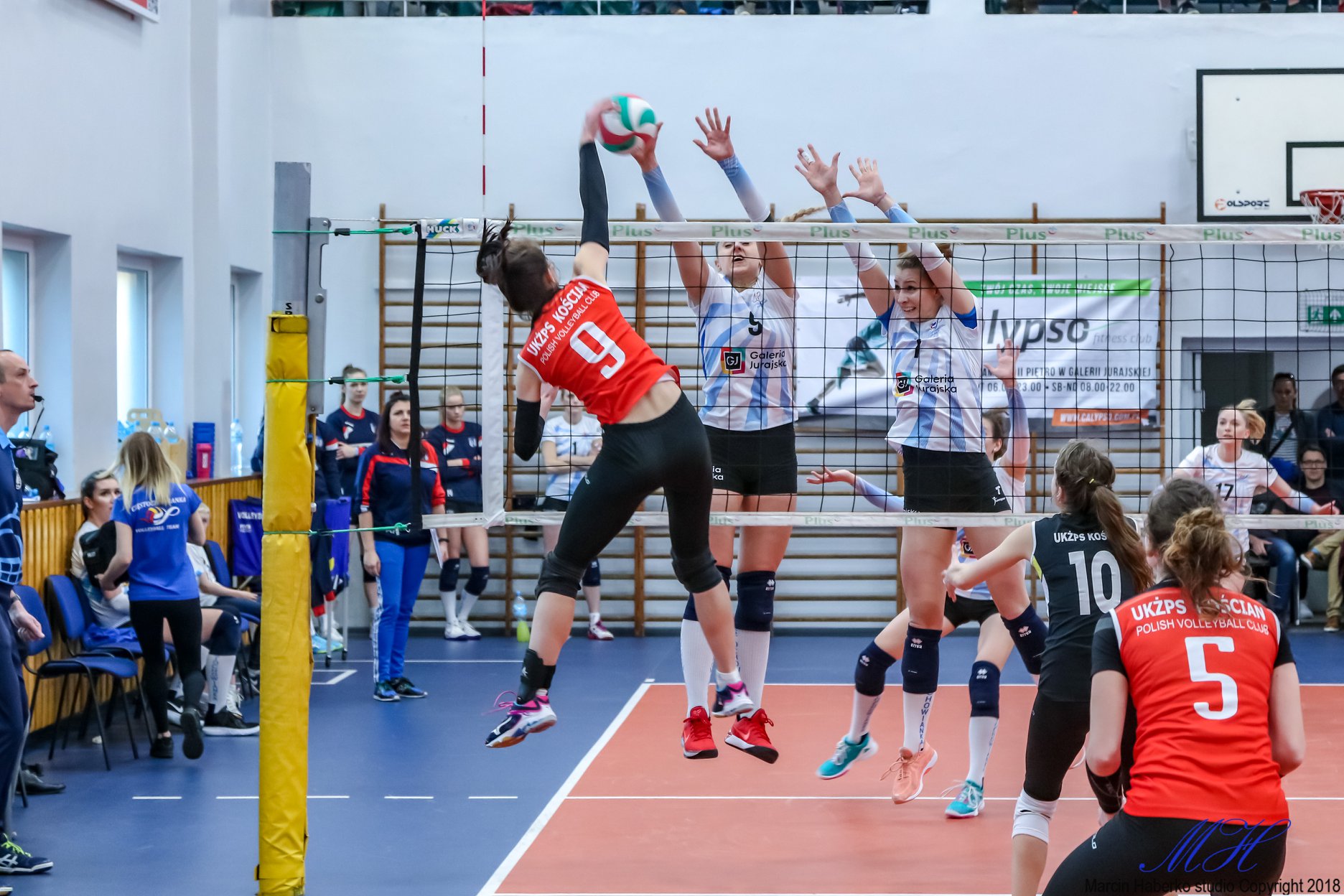 W Nowym Dworze Mazowieckim o awans do I ligi siatkarek