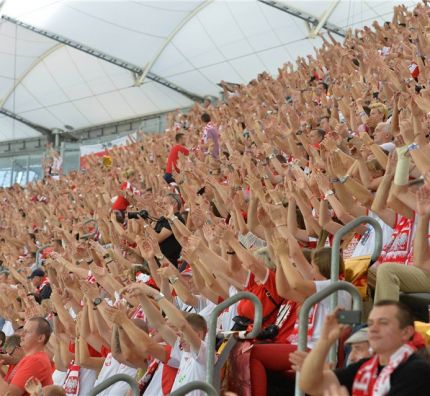 Kibice Polskiej Siatkówki