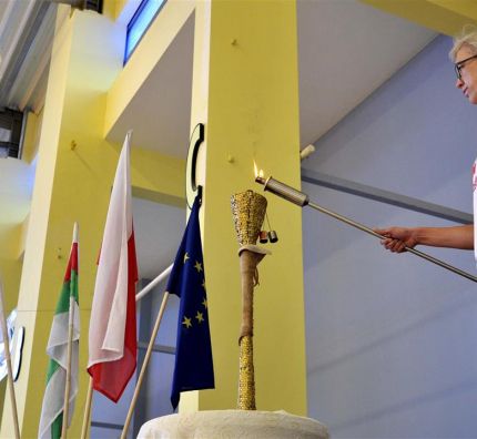 XXIV OOM w sportach halowych: podwójny sukces Śląska