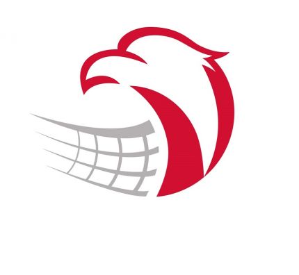 Polska Siatkówka