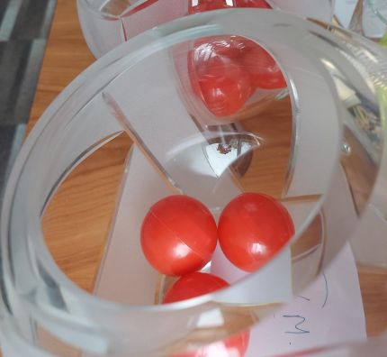 Poznaliśmy grupy półfinałowych turniejów MP juniorów i juniorek