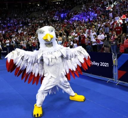 Bezcenna pomoc w meczu z Serbią (WIDEO)