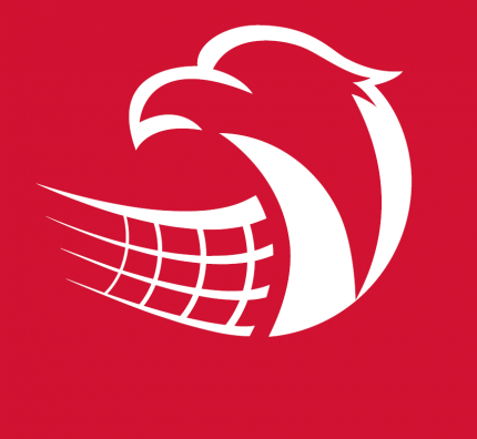 Vacancy - Poland Men's National Team Head Coach